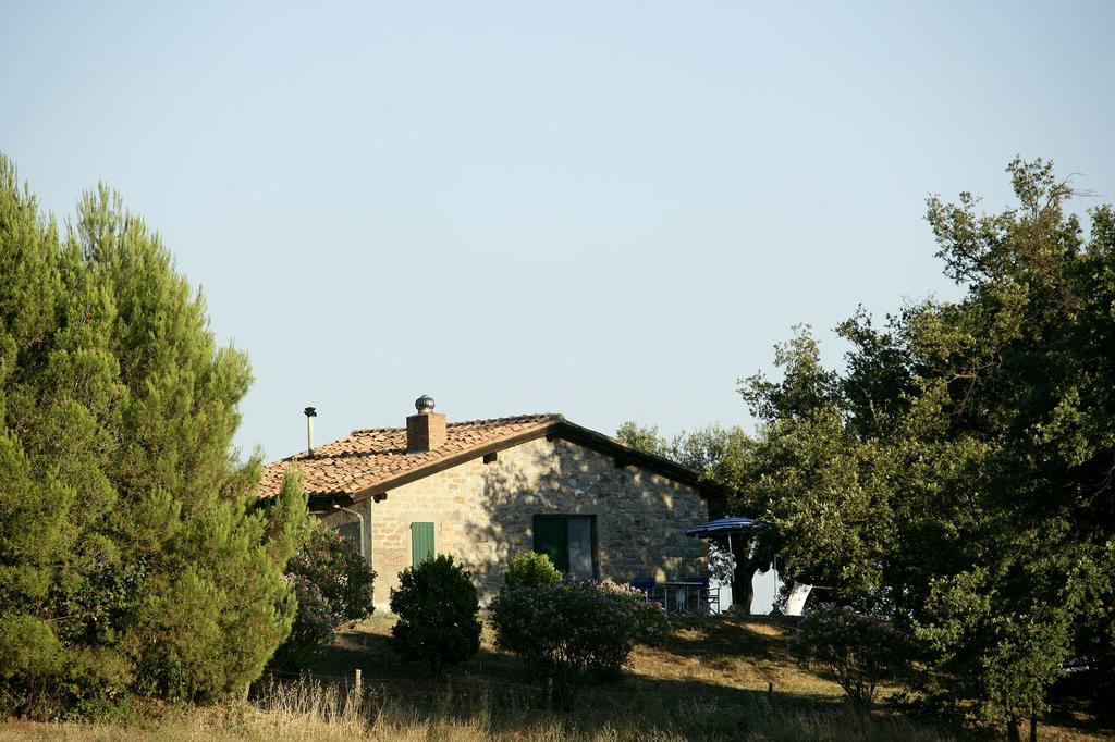 Fattoria Poggio Foco Βίλα Manciano Δωμάτιο φωτογραφία