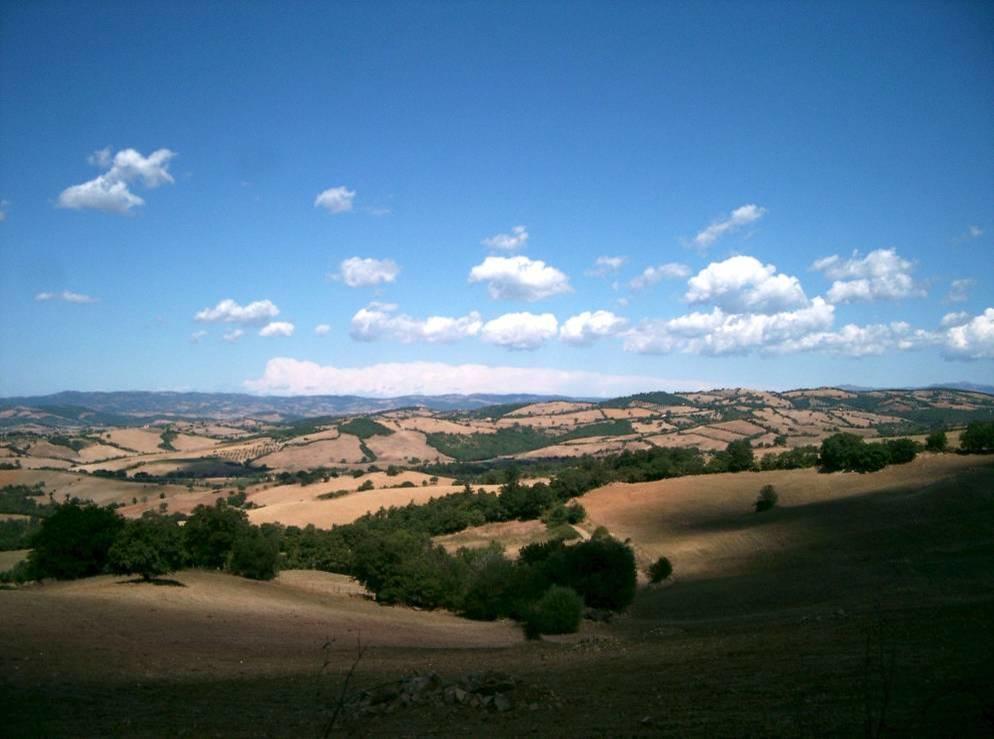 Fattoria Poggio Foco Βίλα Manciano Εξωτερικό φωτογραφία