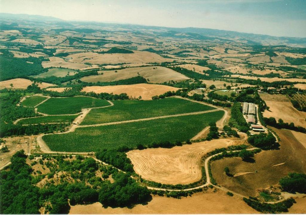 Fattoria Poggio Foco Βίλα Manciano Εξωτερικό φωτογραφία